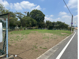 土地
